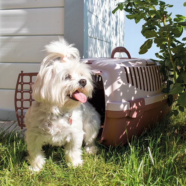 TRANSPORTER DUŻY kojec klatka domek box GULLIVER 2 dla KOTA KRÓLIKA PSA
