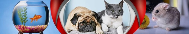 PŁYWAJĄCY KOTNIK DO AKWARIUM PLASTIKOWY GUPIK MIECZYK MALEZYJCZYK ROZMIAR L