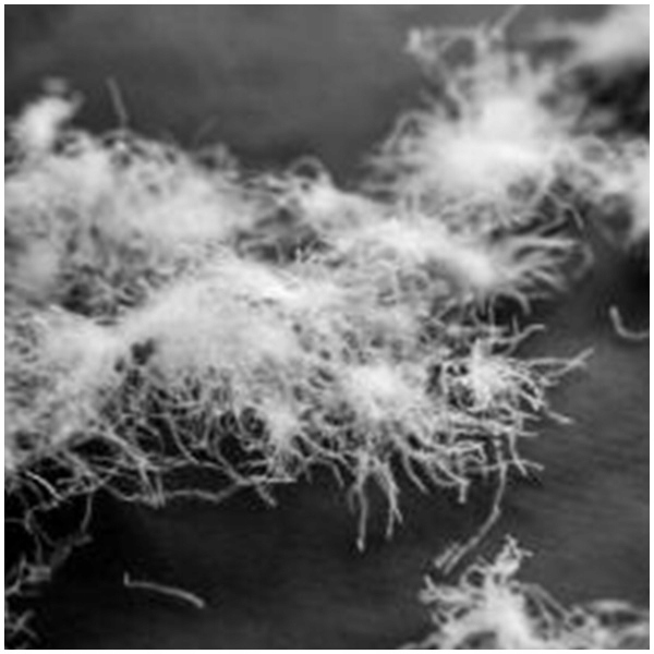 Poduszka z Puchu do łóżeczka 40x60