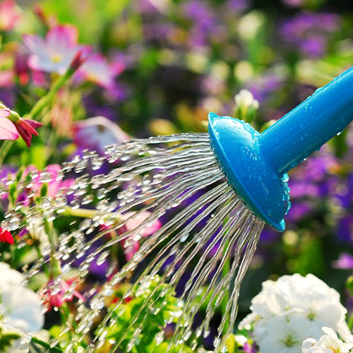 AGROŻEL Hydrożel Ogrodniczy do Roślin 2 Kg