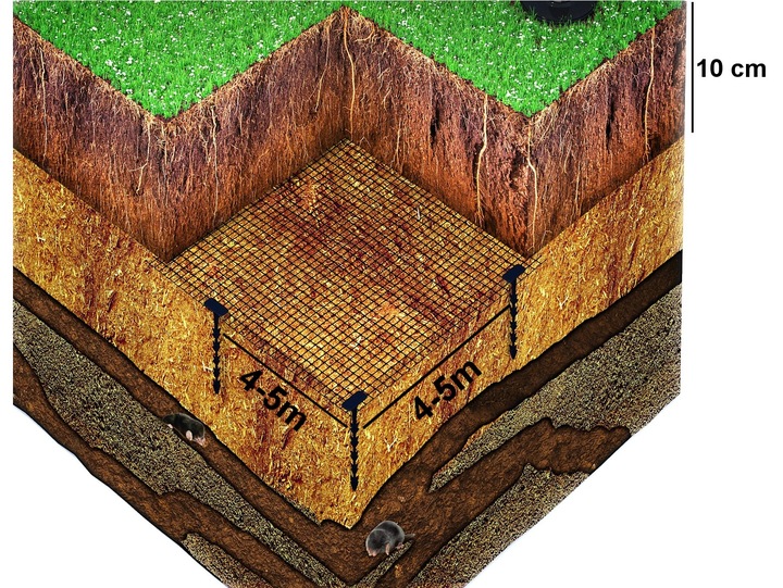 SIATKA NA KRETY 2x200m POLSKA 30g POD TRAWNIK PRZECIW KRETOM NORNICE