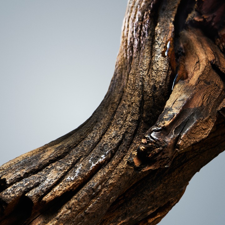 HUGO BOSS Bottled EDT woda toaletowa dla mężczyzn perfumy męskie 100ml