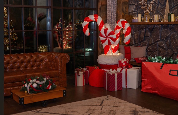 TORBA NA CHOINKĘ DO PRZECHOWYWANIA CZERWONA WODOODPORNA CHRONI PRZED KURZEM