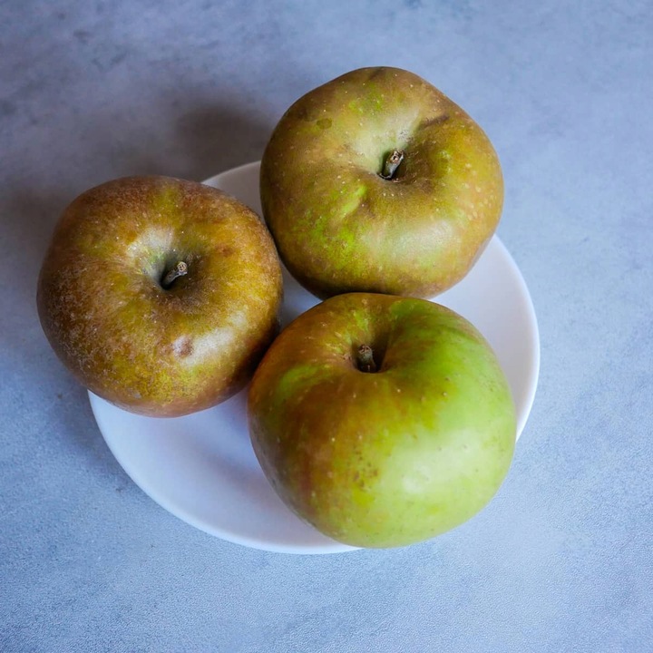 SADZONKI DRZEWKA OWOCOWE JABŁOŃ SZARA RENETA NAJLEPSZA CENIONA DO
