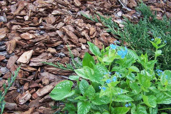 KORA SOSNOWA Ogrodowa Gruba Torf Humus 80L