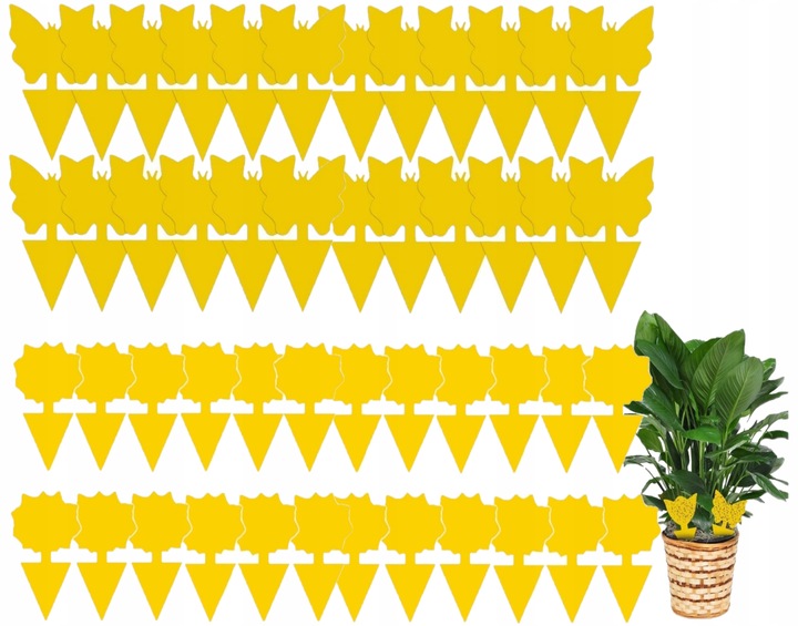 60x ŻÓŁTY LEP DO DONICZEK MOTYL na ziemiórki mszyce muszki owocówki