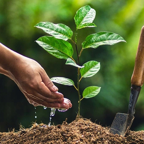 AGROŻEL Hydrożel Ogrodniczy do Roślin 2 Kg