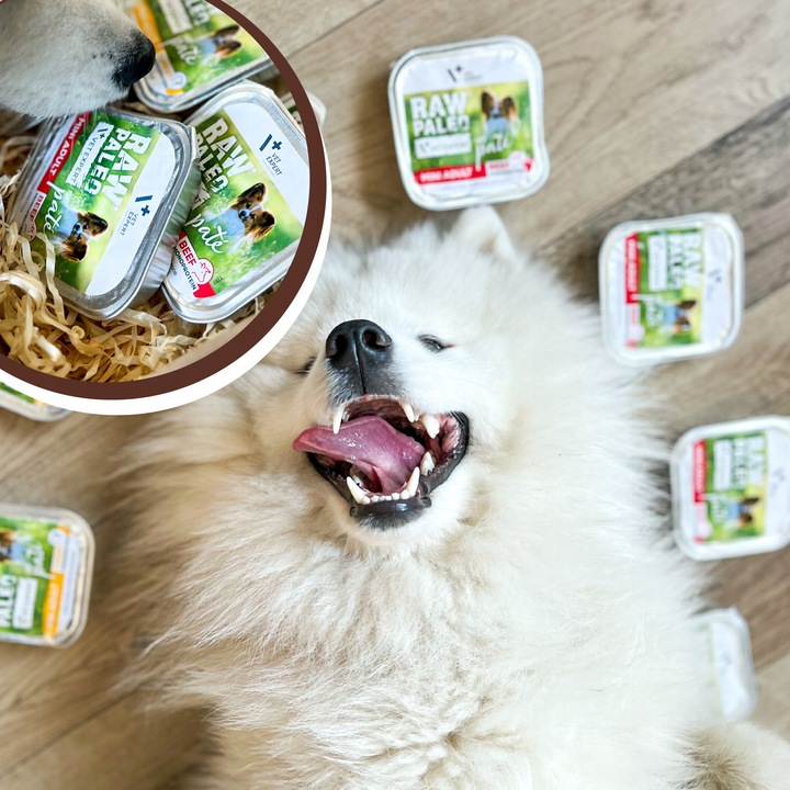 Mokra karma dla psów dorosłych małych ras wołowina Raw Paleo Pate 12x150g