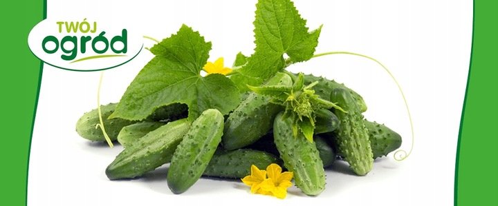 MIEDZIAN 50WP 100G + SYLLIT 65WP 45G NA CHOROBY GRZYBOWE OWOCÓW I