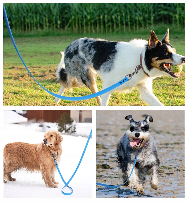 SMYCZ TRENINGOWA dla Psa MOCNA BIOTHANE PVC 3m