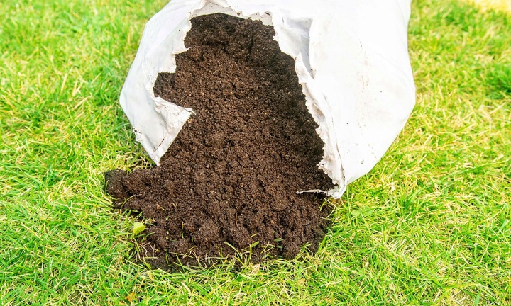 Ziemia do Borówek Hortensji BIO Podłoże do Azalii Wrzosów z Nawozem