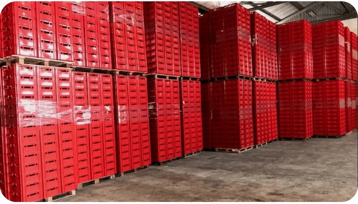 Skrzynka Euro E2 na mięso nowy pojemnik + atest