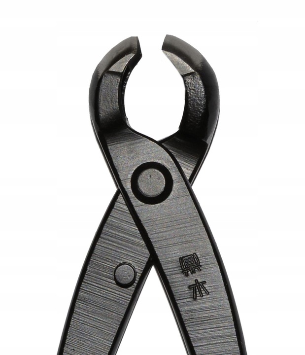 KLESZCZE DO BONSAI - DO SĘKÓW