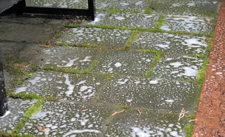 TENZI Top-Efekt Moss dach elewacja usuwanie glonów mchów i porostów 1L