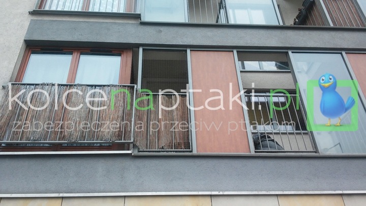 Siatka 3x4 przezroczysta dla kota, przeciw ptakom