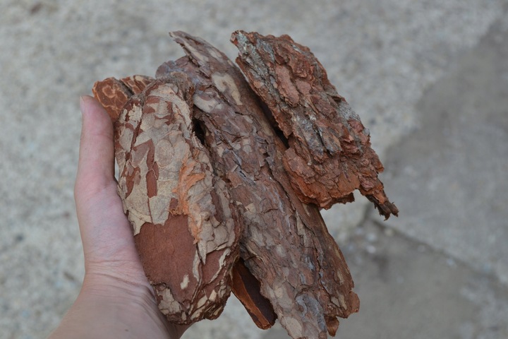 SUPER OZDOBNA Kora sosnowa ręcznie wybierana GRUBA