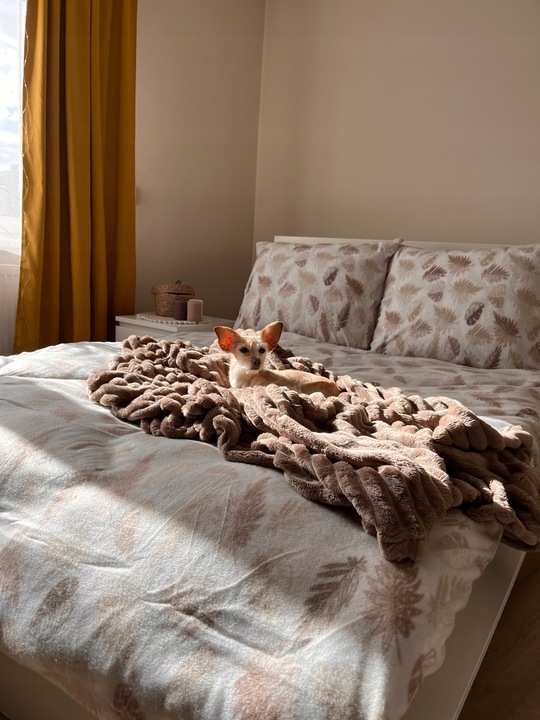 Komplet Pościeli Polarowej 160x200+2x 70/80 Ciepła Gruba Mack Home Liście