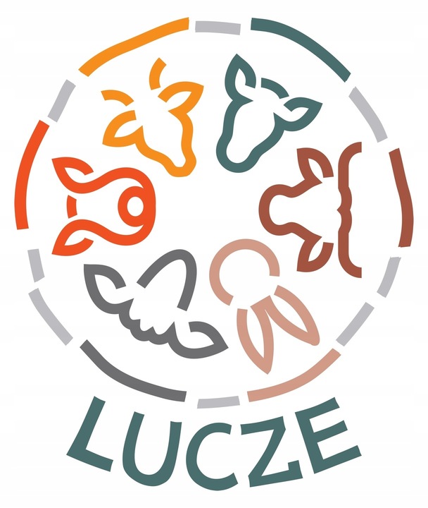 LUCZE _ Łapki z kurczaka suszone _1 kg_ 100% NATURALNE