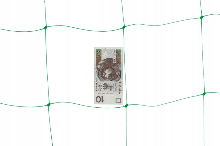 Siatka Podpora warzyw roślin pnących 2x10m 15x17cm AS-CN08151720010