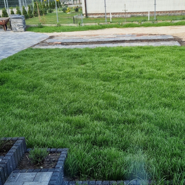 Trawa UNIWERSALNA nasiona trawy SAMOZAGĘSZCZAJĄCA odporna na DEPTANIE 25kg