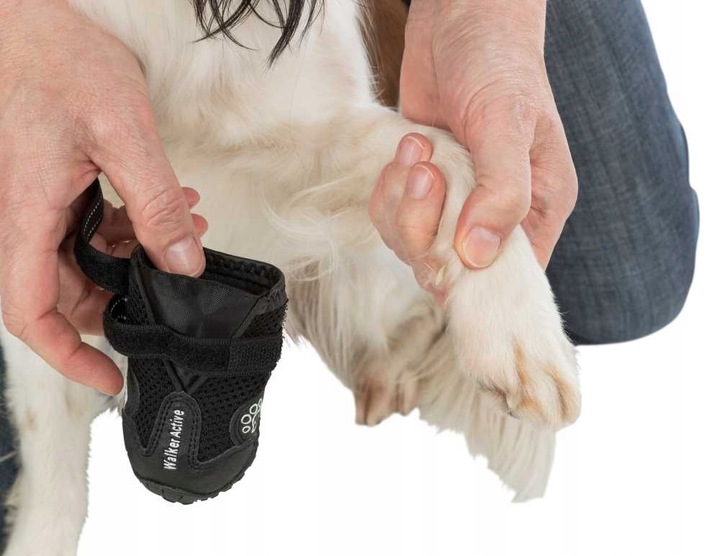 Trixie BUTY OCHRONNE Walker Active dla Psa M-L 2sz