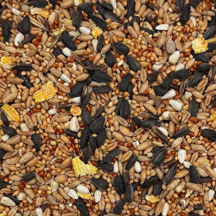 MIX DLA PAPUG FALISTYCH i ŚREDNICH Karma 20kg Nimfa Rozella STANDARD