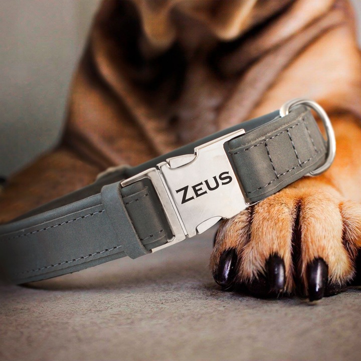 Obroża dla psa Blue z metalową klamrą rozmiar XS