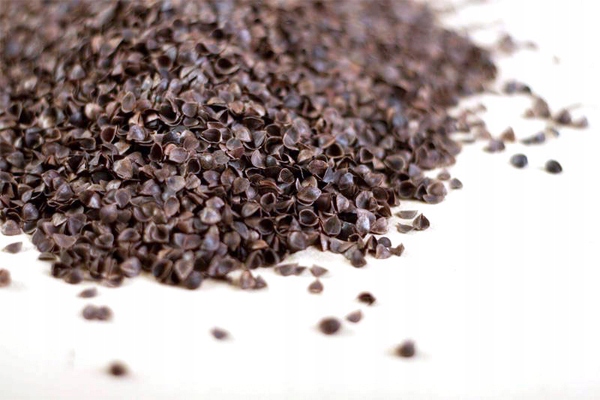 Poduszka Łuska Gryki Zdrowotna Ortopedyczna Profilowana Przciwbólowa 70x80