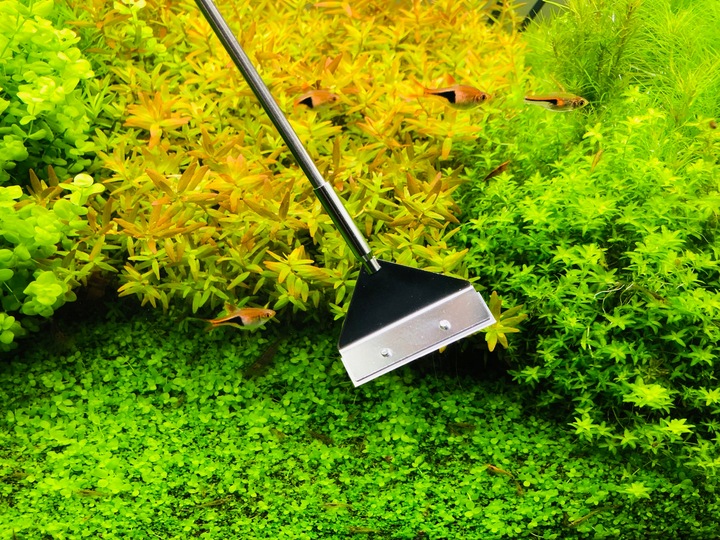 INVITAL Algae Scraper Pro