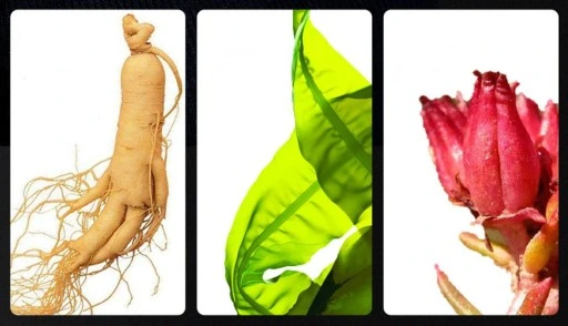 PODKŁAD PUDER W KREMIE DO TWARZY PROFESJONALNY