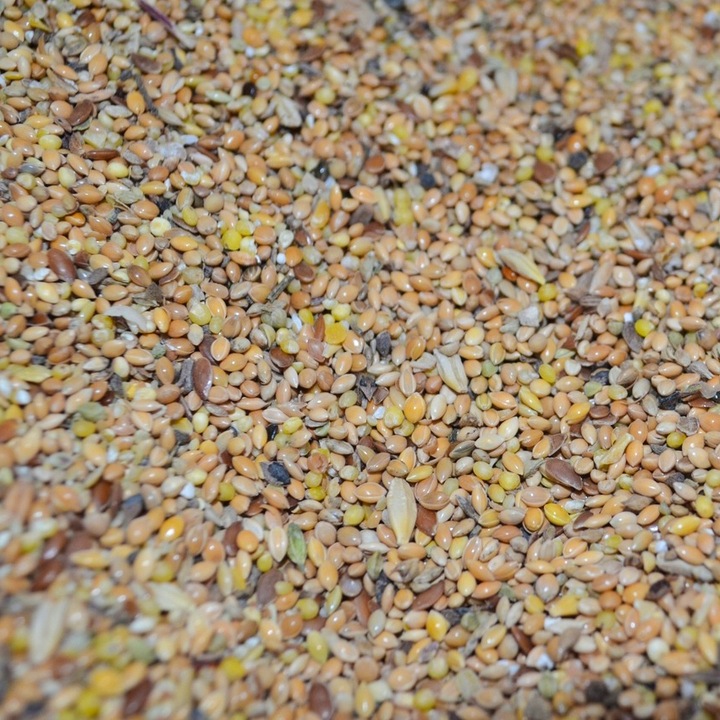 Karma dla dzikich ptaków gołębi drobne ziarno MIX ziaren 25kg