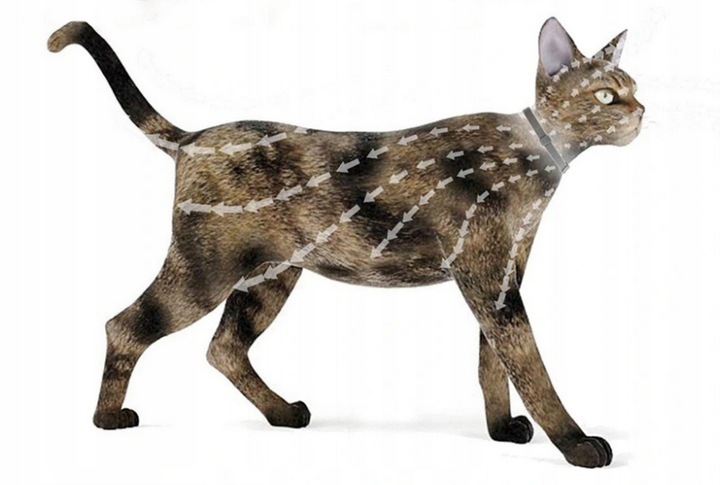 OBROŻA NA PASOŻYTY DLA KOTÓW 40CM 8 MIESIĘCY NATURALNE OLEJKI