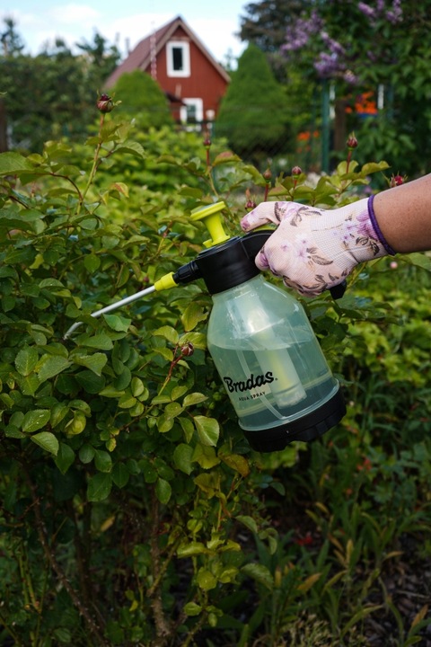 Opryskiwacz ciśnieniowy 1,5l AQUA SPRAY CLEAR