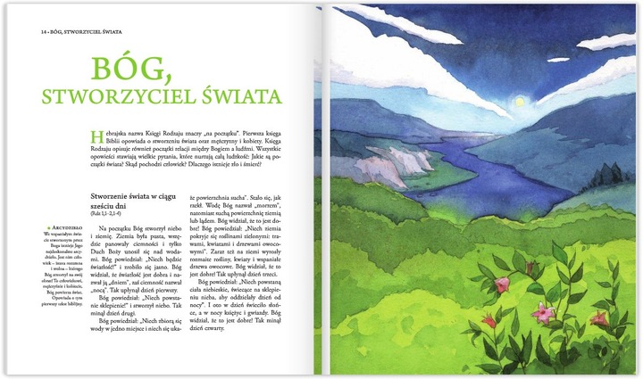 Przyjąłem Jezusa Biblia na Pierwszą Komunię w etui