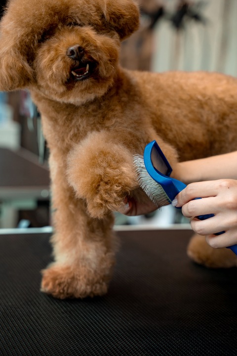 TOTOBI Naturalna mgiełka przeciwkleszczowa przeciwpchelna na pasożyty