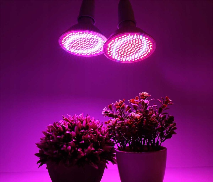 LAMPA Z ŻARÓWKA E27 DO WZROSTU UPRAWY ROŚLIN PANEL FULL SPECTRUM 20W 200LED