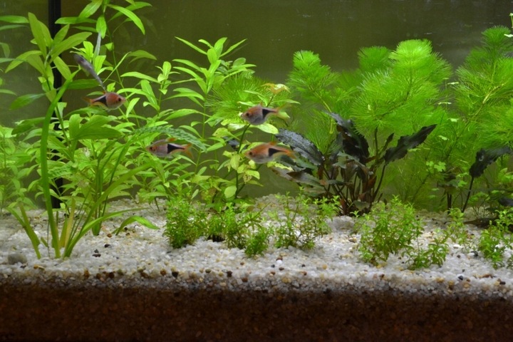 15 kg SZARY PIASEK KWARCOWY DO AKWARIUM 0,6-1,2mm