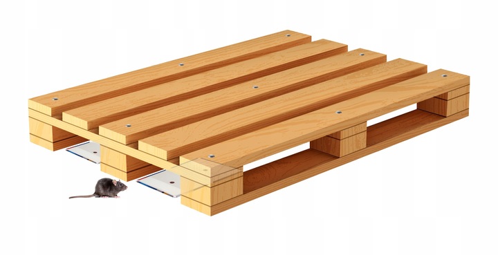 SILNY LEP PUŁAPKA KLEJ ŁAPKA NA SZCZURY MYSZY GRYZONIE NO PEST BARDZO