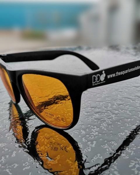 OKULARY DO OBSERWACJI KORALI od DD!