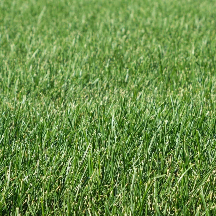 STARANE TRAWNIKI 250 ML TARGET ZWALCZA CHWASTY NA TRAWNIKU