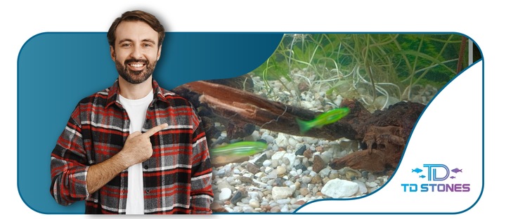 NATURALNY KORZEŃ DO AKWARIUM DESERT ROZMIAR M 20CM