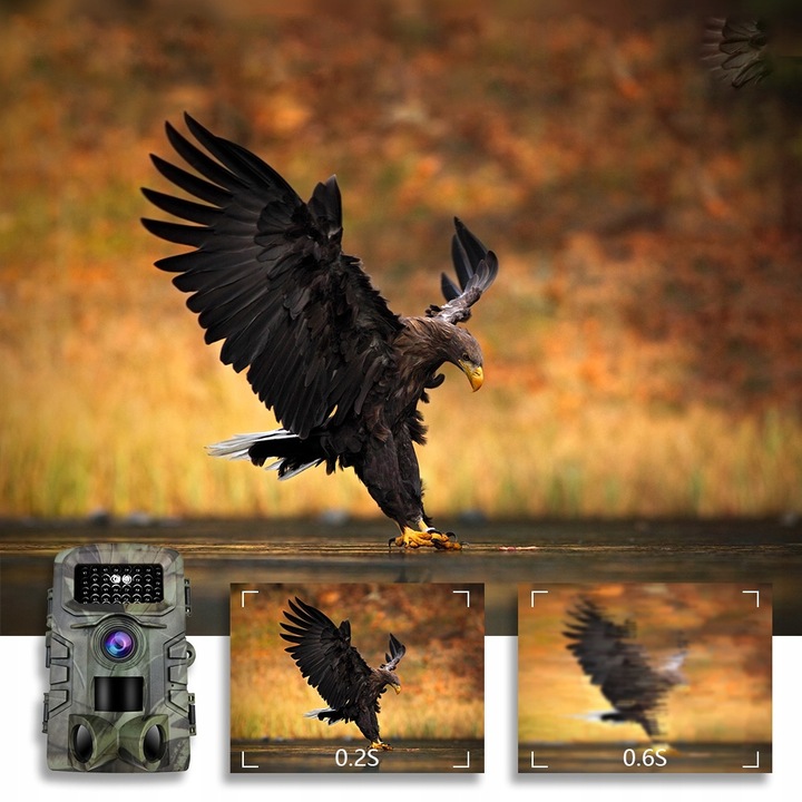 Kamera Leśna Fotopułapka Myśliwska Ip66 Czujnik Ruchu IR Tryb Nocny