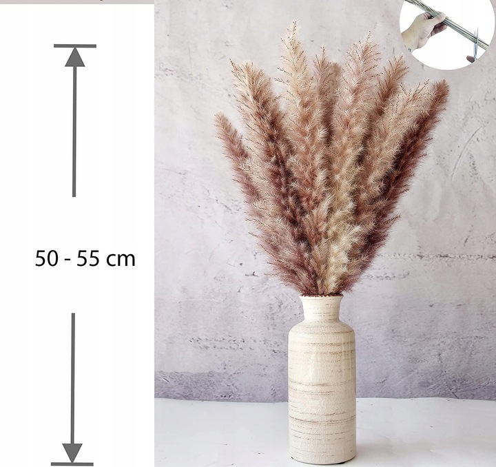 Trawa Ozdobna Pampasowa Suszona Pampasy Do Wazonu