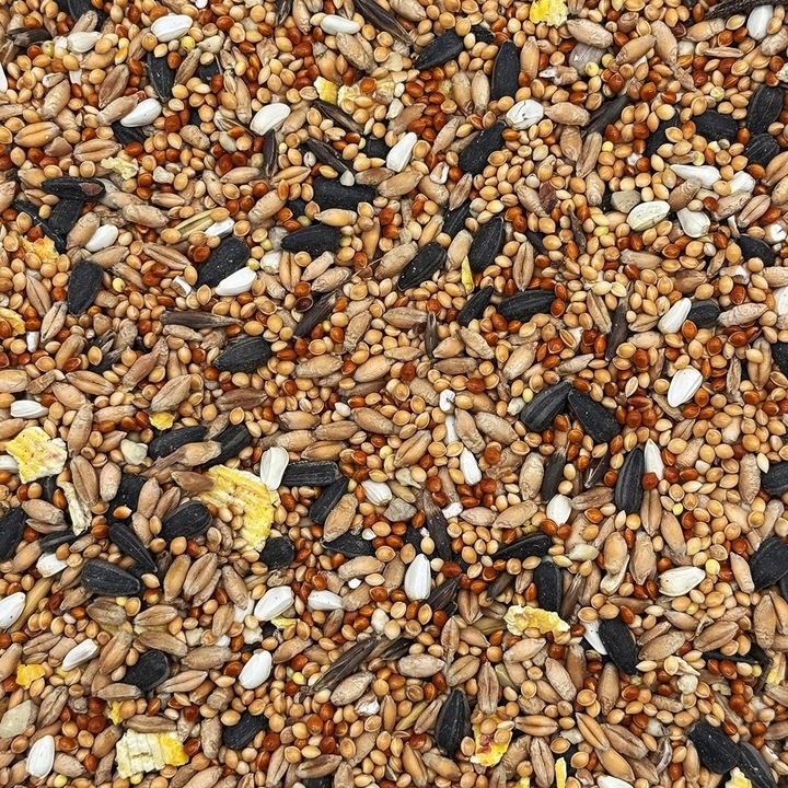 MIX DLA PAPUG FALISTYCH i ŚREDNICH Karma 20kg Nimfa Rozella STANDARD