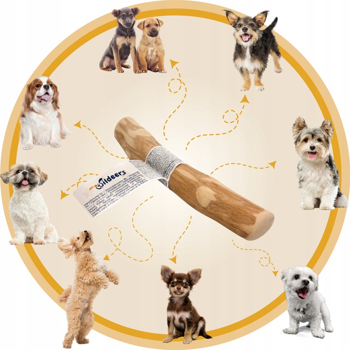 PATYK Z DRZEWA KAWOWEGO S NATURALNY KAWOWY GRYZAK DLA PSA WYTRZYMAŁY MAŁY