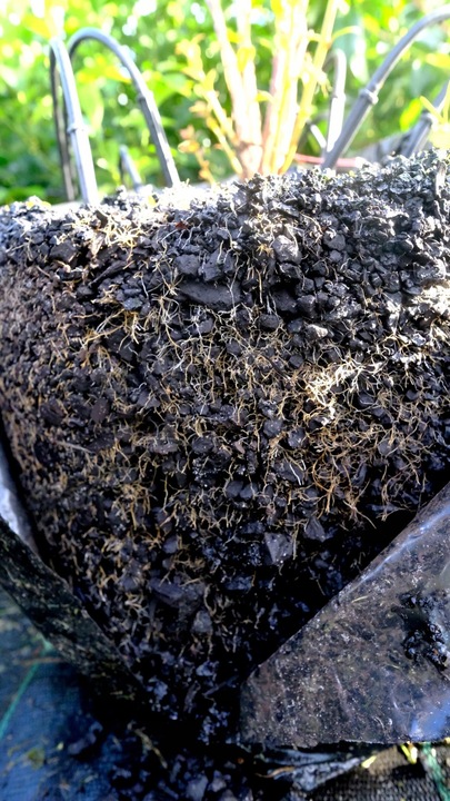 Węgiel brunatny do gleby CARBOMAT ECO 20 L (pH 4,5 - 5,0)