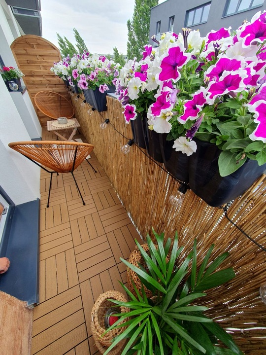 Mata trzcinowa 180 x 600 cm Maty trzcinowe 1.8 x 6