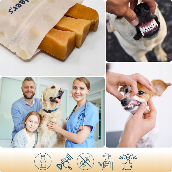 NATURALNY GRYZAK DLA PSA Z SERA HIMALAJSKIEGO SEREK M PRZEKĄSKA