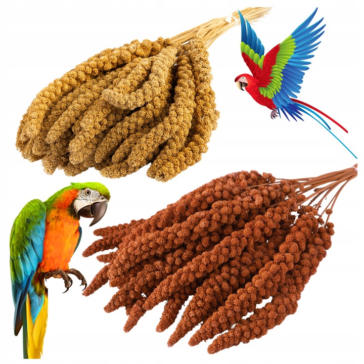 PROSO SENEGALSKIE BIAŁE + CZERWONE 0,5KG + 0,5KG CZYSTE DUŻE KŁOSY