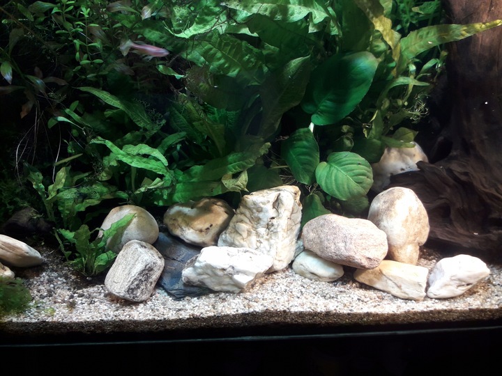 NATURALNY ŻWIREK 1-4 mm 25 kg AKWARIUM